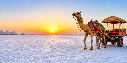 Travel destination